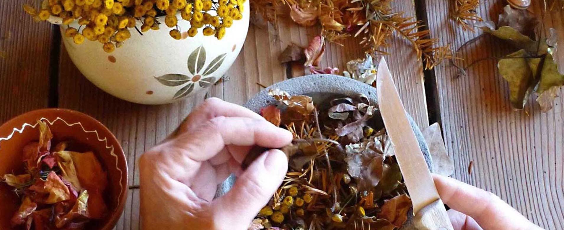 Különleges Gyógynövények | ZsályaVilág Webáruház