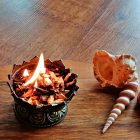 Tibeti Lótusz  Égető